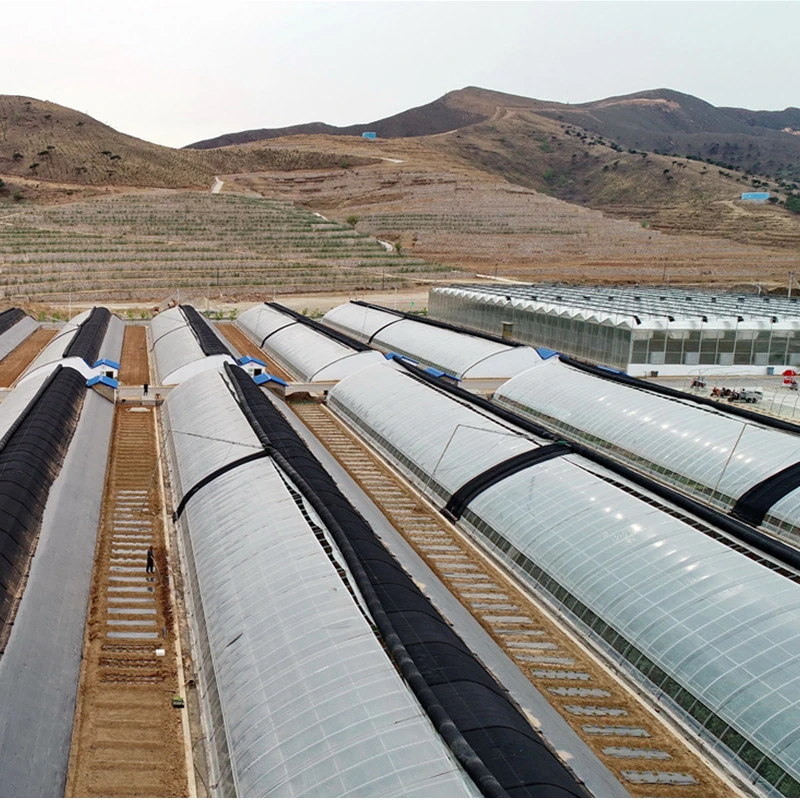 Modern High quality/High cost performance Hot Sale Solar Greenhouses From Vegetable Hometown for Sale