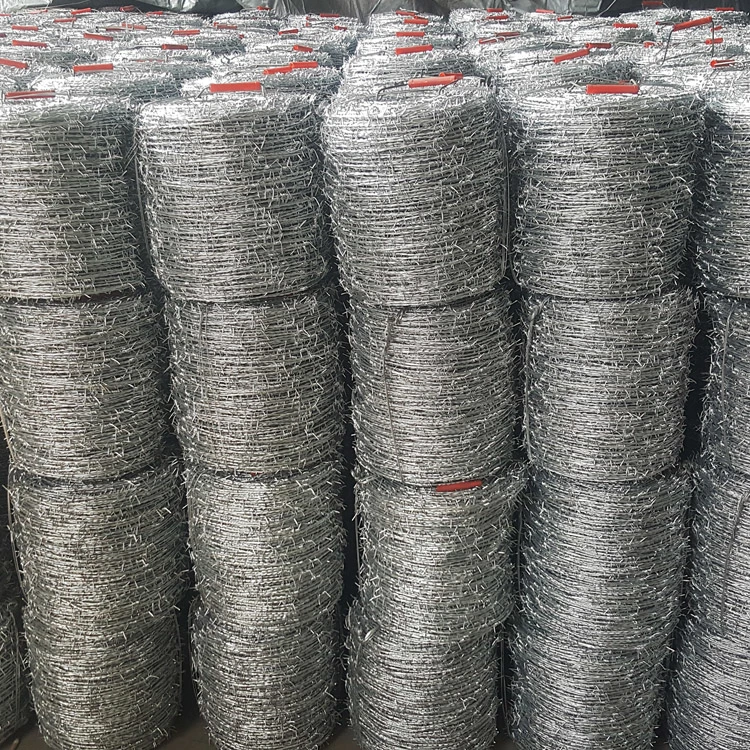 25kg Hot-Dipped Galvanized or PVC Coated Barbed Wire with Customizable Specification