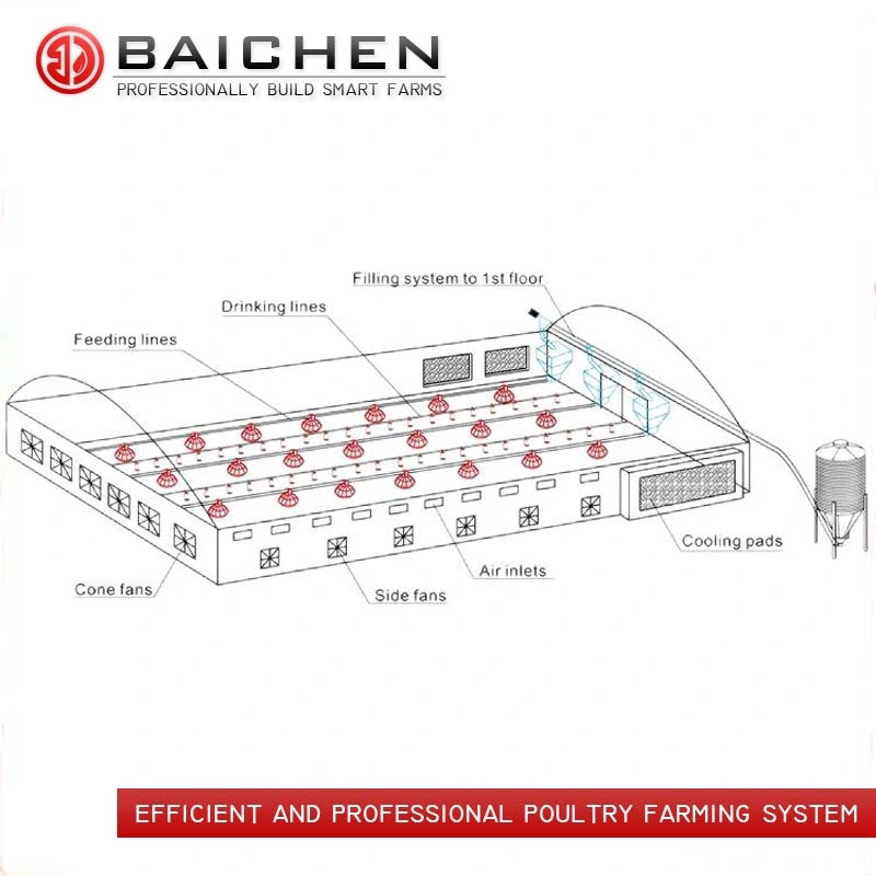 Chicken House Poultry Feeding Line Equipment with Pan Feeder