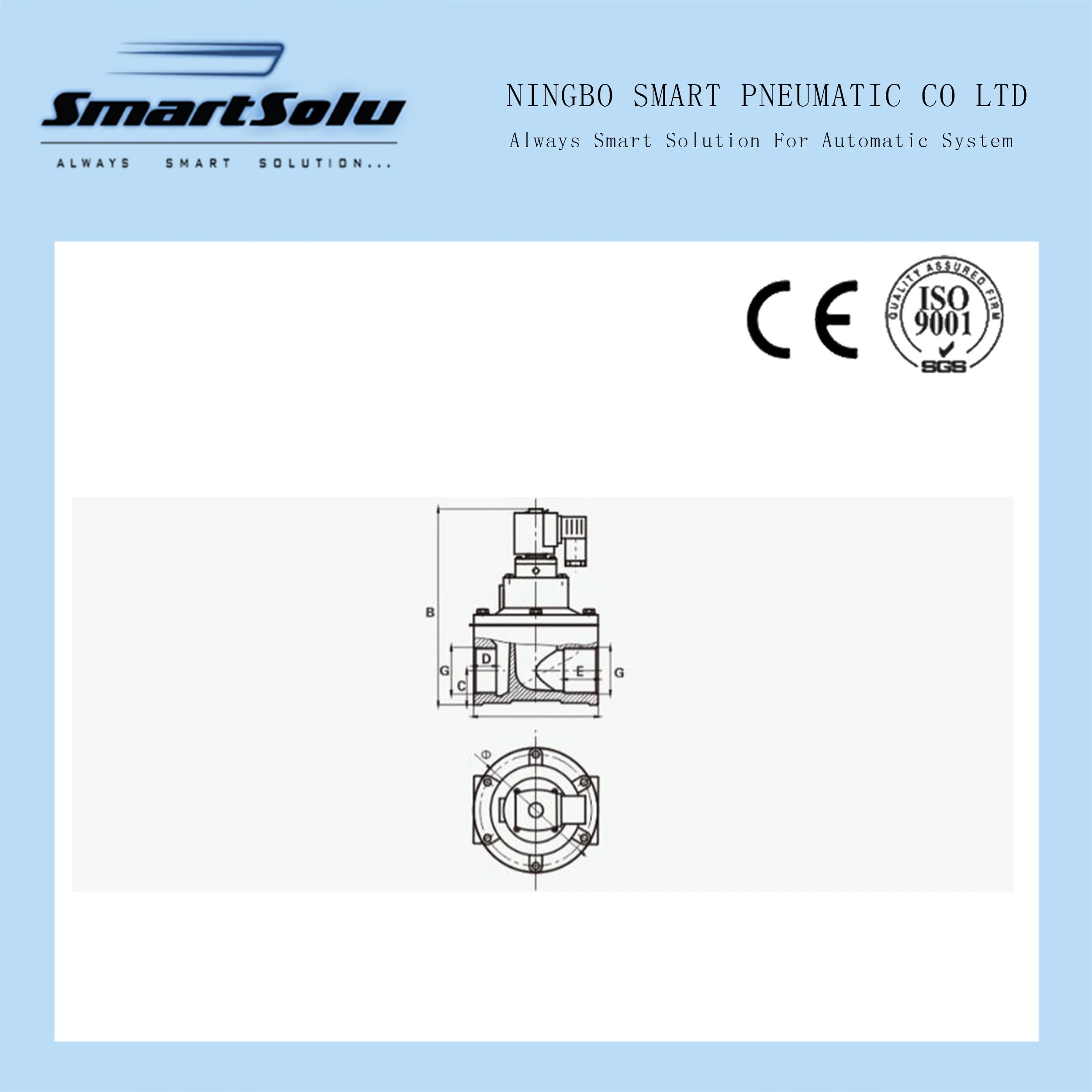 Senior Professional Spare Part Kit for Nice Replacement for Straight-Through Pulse Valve