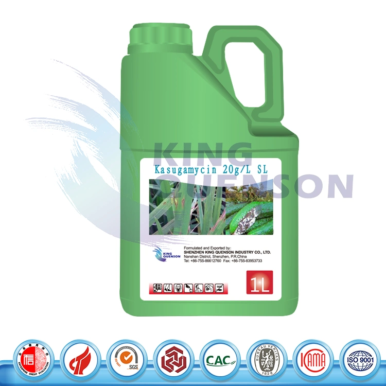 King Quenson Fungicide Bactericide Kasugamycin 70% Tc Kasugamycin 20 G/L SL