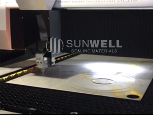 Special Materials Spiral Wound Gaskets Sealing Gasket (SUNWELL)