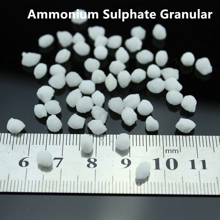 Prix du sulfate d'ammonium, sulfate d'ammonium, sulfate d'ammonium de qualité Capro.