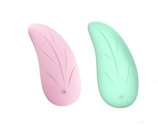 Wireless Remote-Control USB Charging Vibrating Wing Egg Sex Toys for Women/ Female