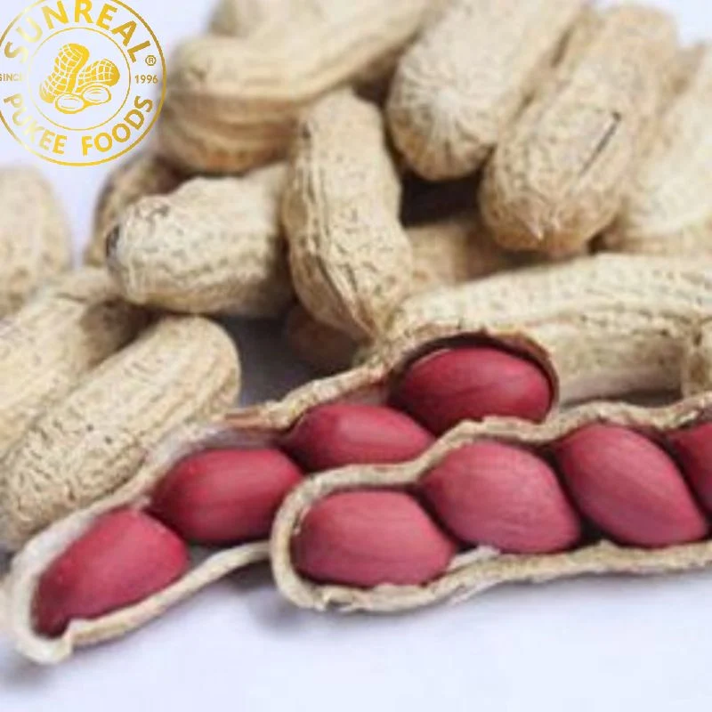 2021 Roasted Peanut in Shell/ Red Skin/Sunreal/Vacuum Inner Bags