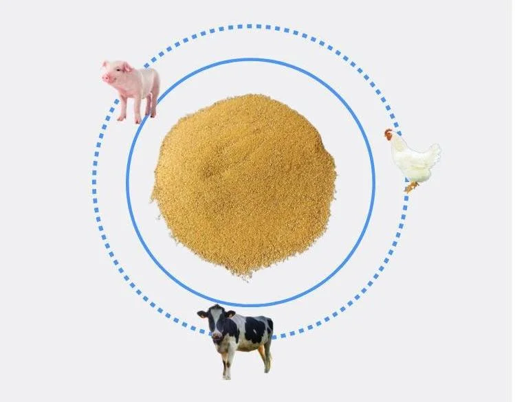 Poultry Feed Raw Materials Protein Chelated Elements, Animal Feed