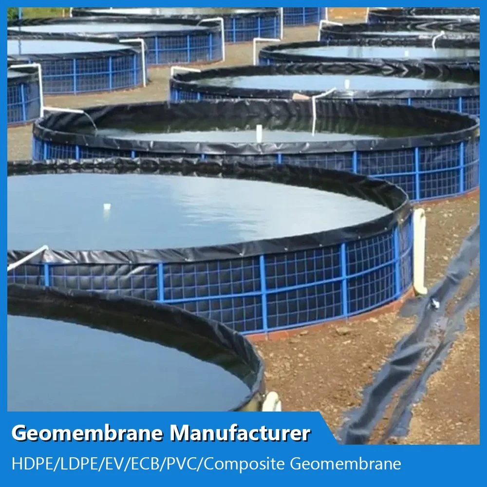 Fabricant de géomembranes ASTM personnalisées anti-infiltration imperméables lisses texturées HDPE/LDPE/PE/EV/Ecb/PVC texturées/composites.