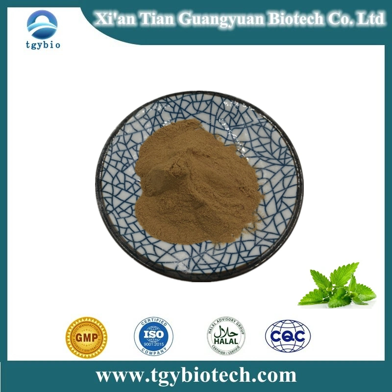 Supply Mint Extract/Peppermint Leaf Extract for Health Care