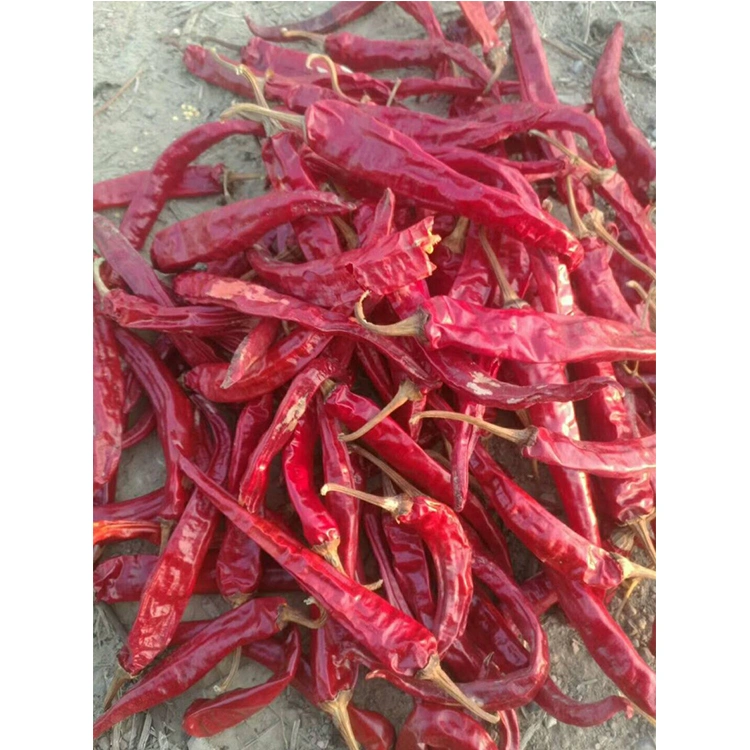 Top Quality Dehydrated Red Whole Chili