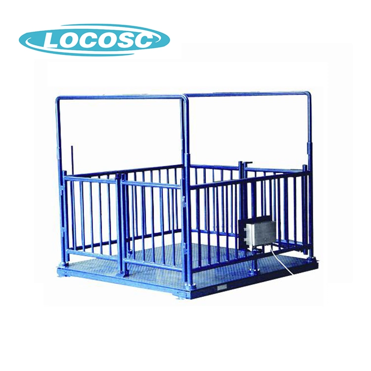 Heavy Duty Electronic Animal Floor Cattle Weighing Scale Price