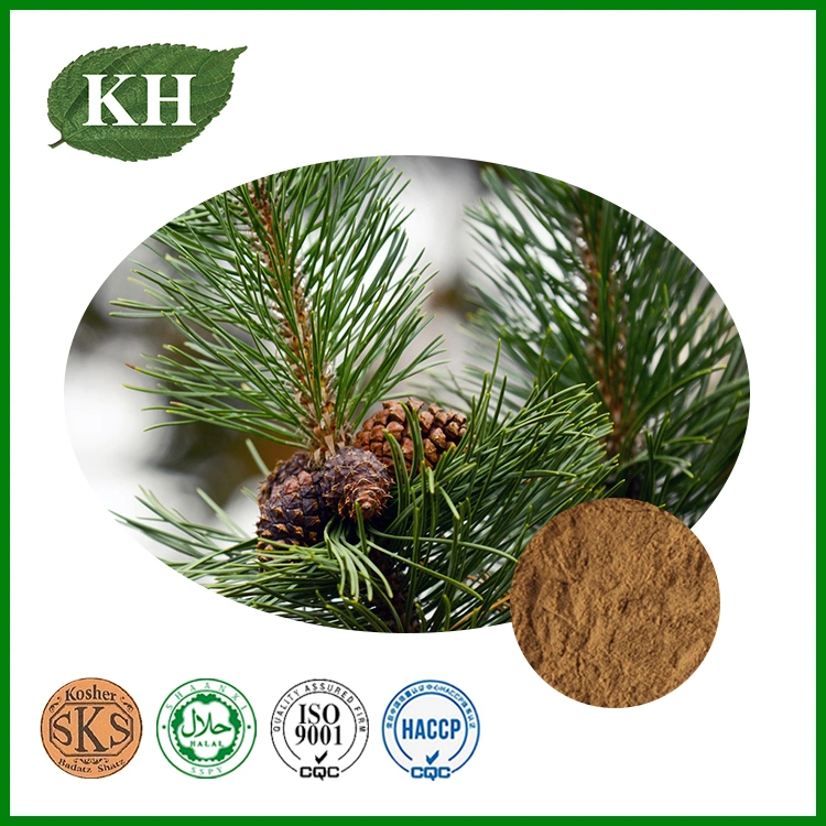 Natural Pine Bark Extract with High quality/High cost performance  Proanthocyanidins