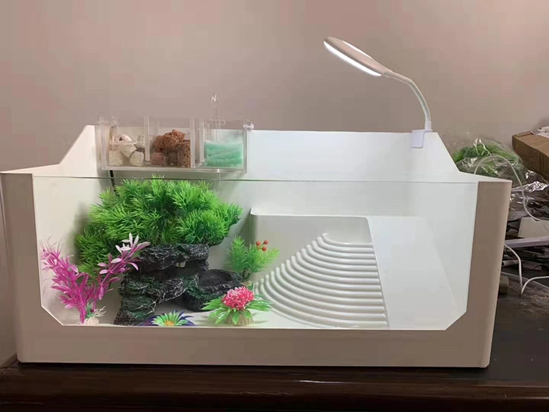 Turtle Tank Aquarium with Platform for Reptile Habitats