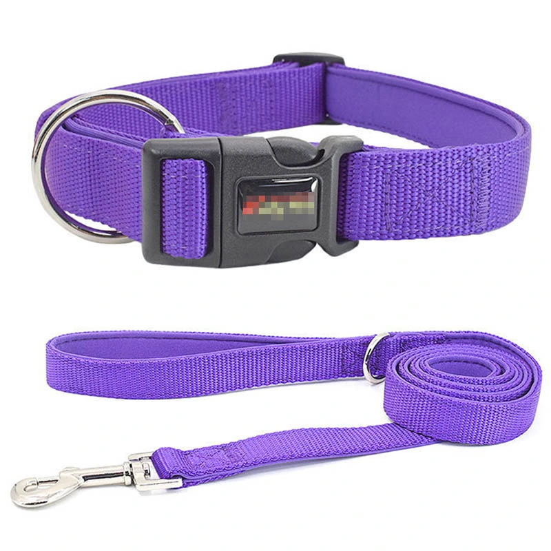 Hot Sell Amazon Pet Cat Dog Collar