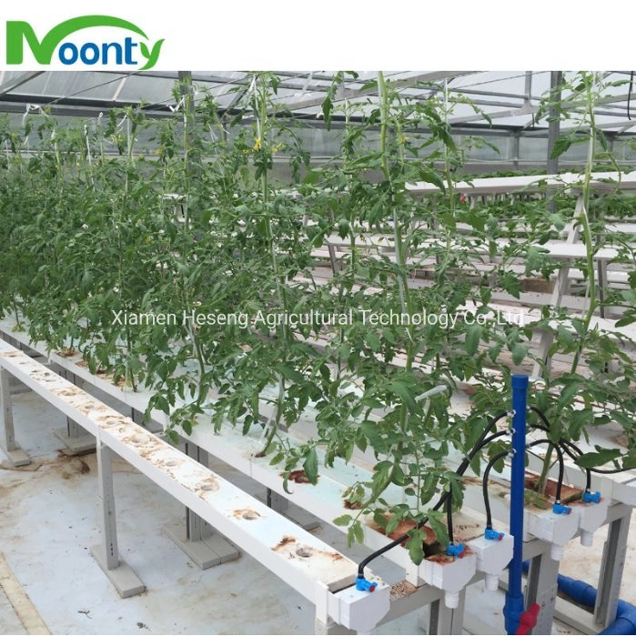 Personalizar el cultivo hidropónico Nft crecer Agrícola del Sistema de crecimiento Vertical Sistema de frutilla Pimienta pepino