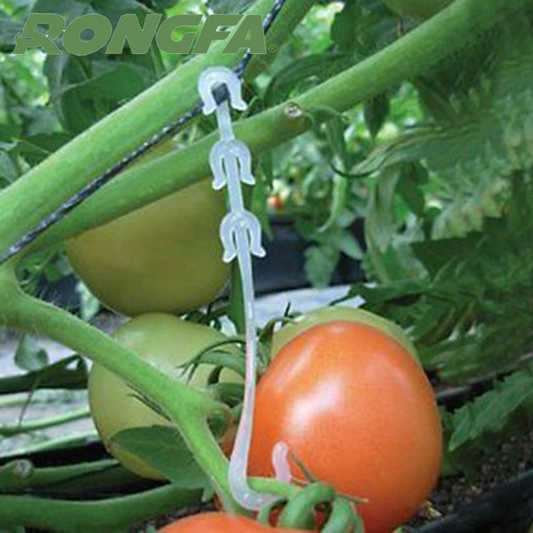 Hydroponic Metal Support Hook Watermelon Grafting Clip