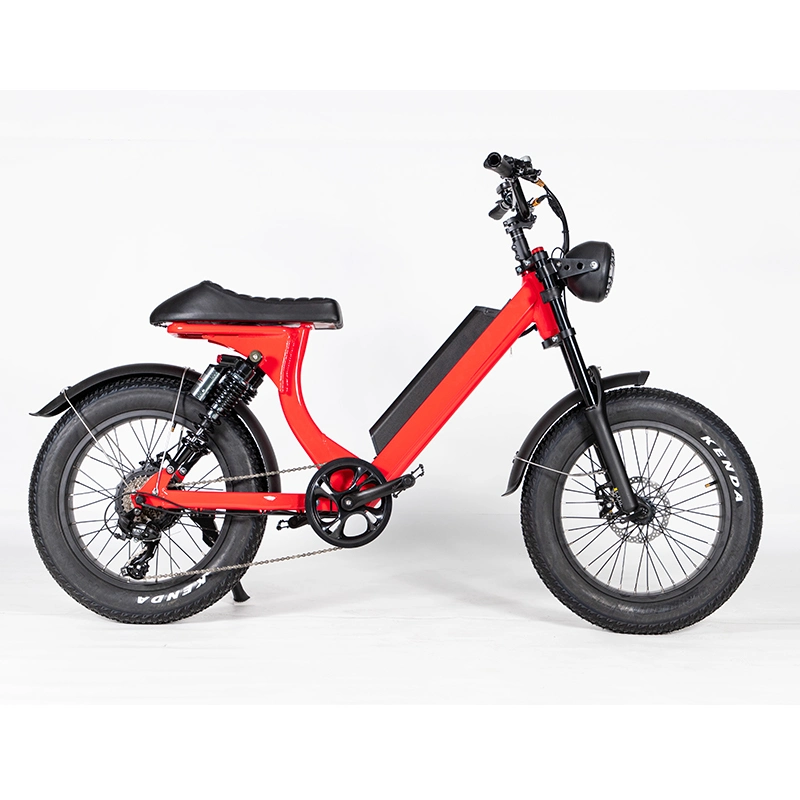 Leo adopta con certificación de CE Bicicleta eléctrica con la grasa de los neumáticos personalizados para hombres y mujeres