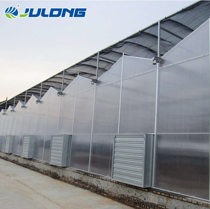 High quality/High cost performance  Agricultural Commercial Multi Span Polycarbonate Greenhouse with Nice Price