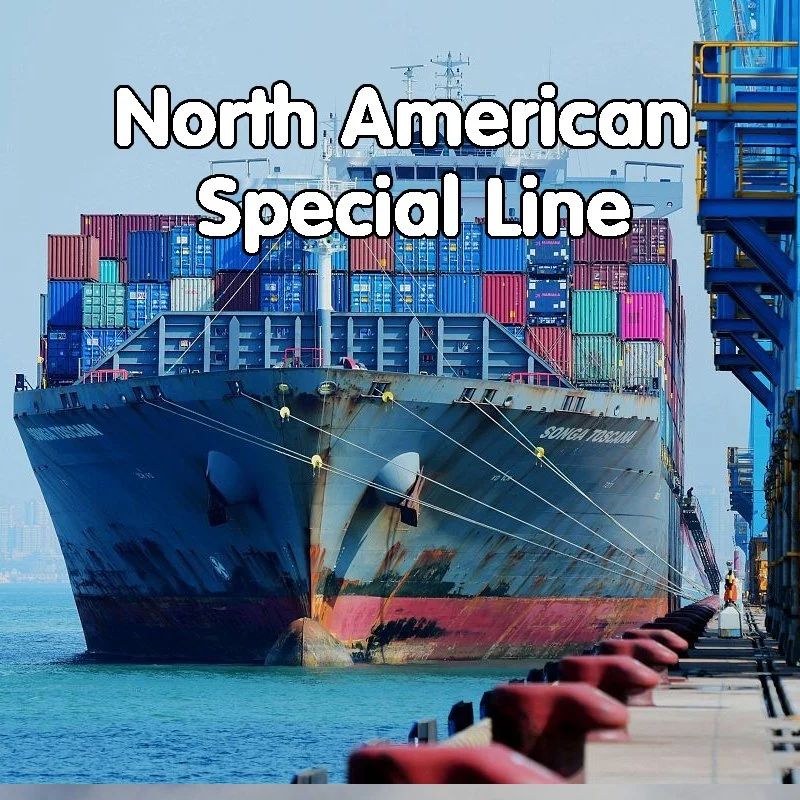 Sea Shipping Company From China to Mexico Freight Forwarder