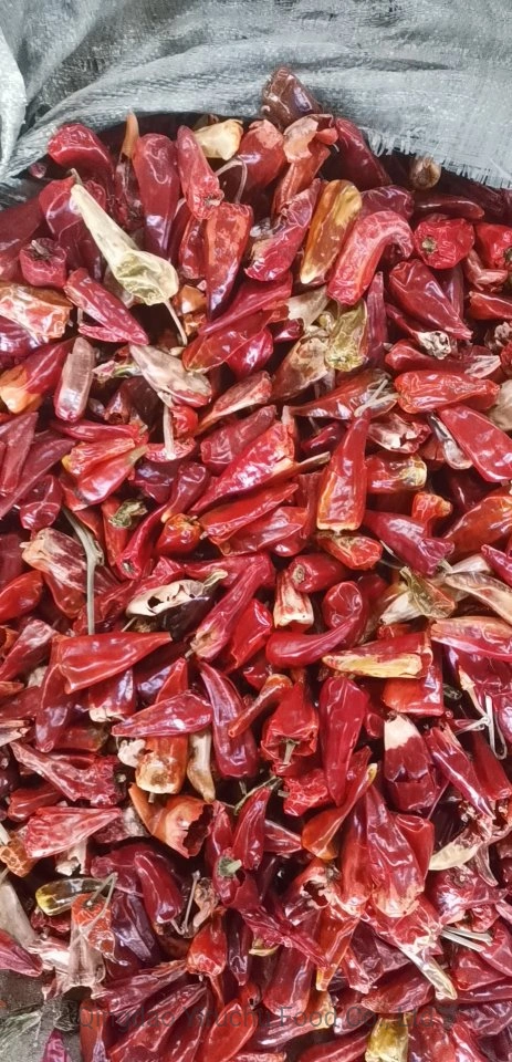 Small Red Chilli Dry Red Chilli Wholesale/Supplier Price