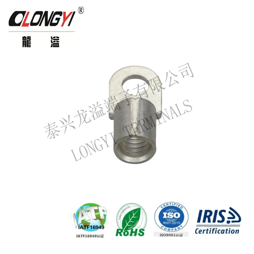 Non-Insulated Terminals, Ring Shape, T2 Copper, Tin Plating, Applicable to Wind Power Generation, Rail Transit Industry, German Standard Terminals