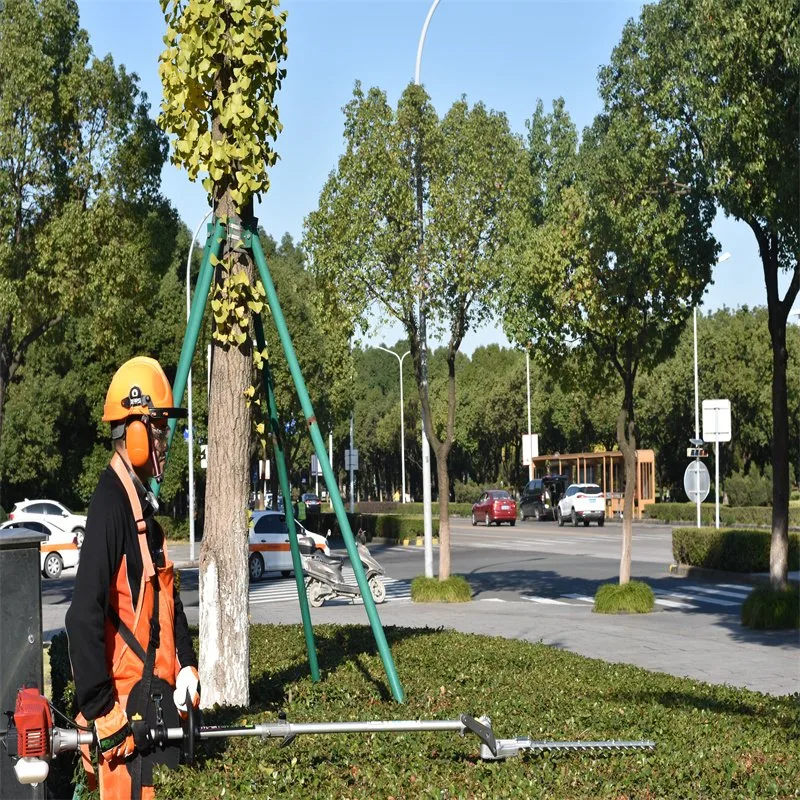 Kawasaki TJ53 Motor Gato de jardín de Hedge Trimmer Hedger de césped