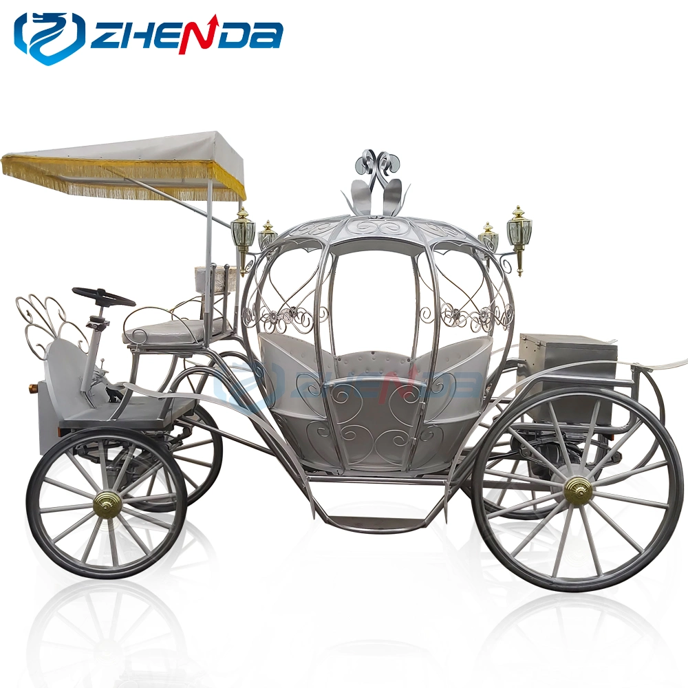 Customized Pumpkin Carriages/Multi-Style Hot-Selling Wedding Carriages/Fashionable Electric Sightseeing Carriages