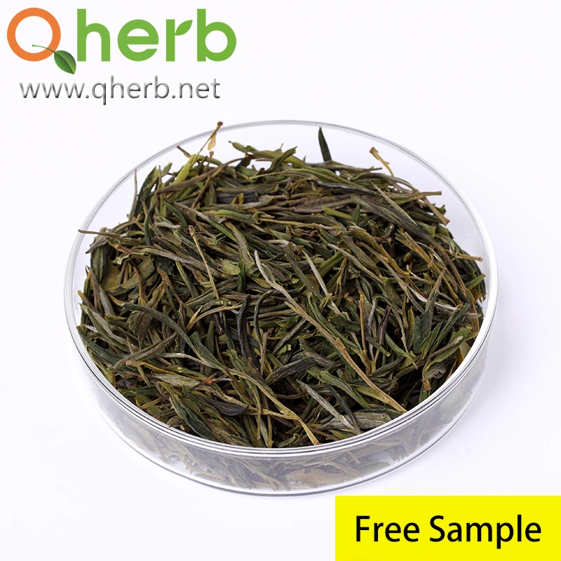 100% Natural para uso alimentario, el 98% polifenoles del té UV EGCG Extracto de té verde de la planta de hierbas con una muestra gratis