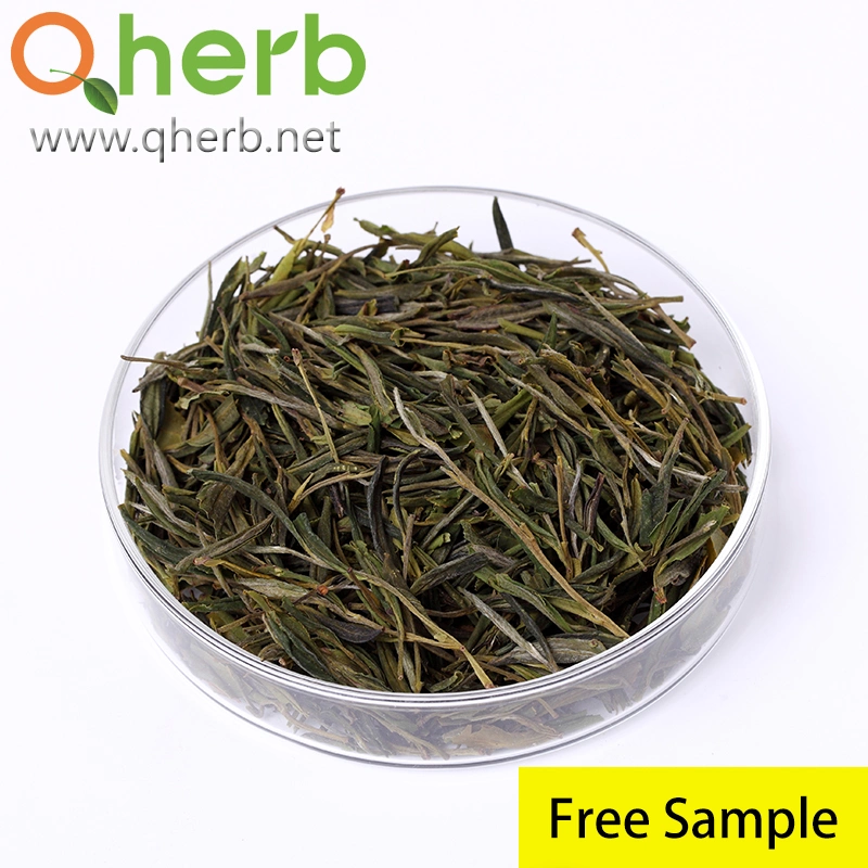 100% Natural Food Grade 98% Tea Polyphenols UV EGCG Green Tea Extract Herbal Plant with Free Sample