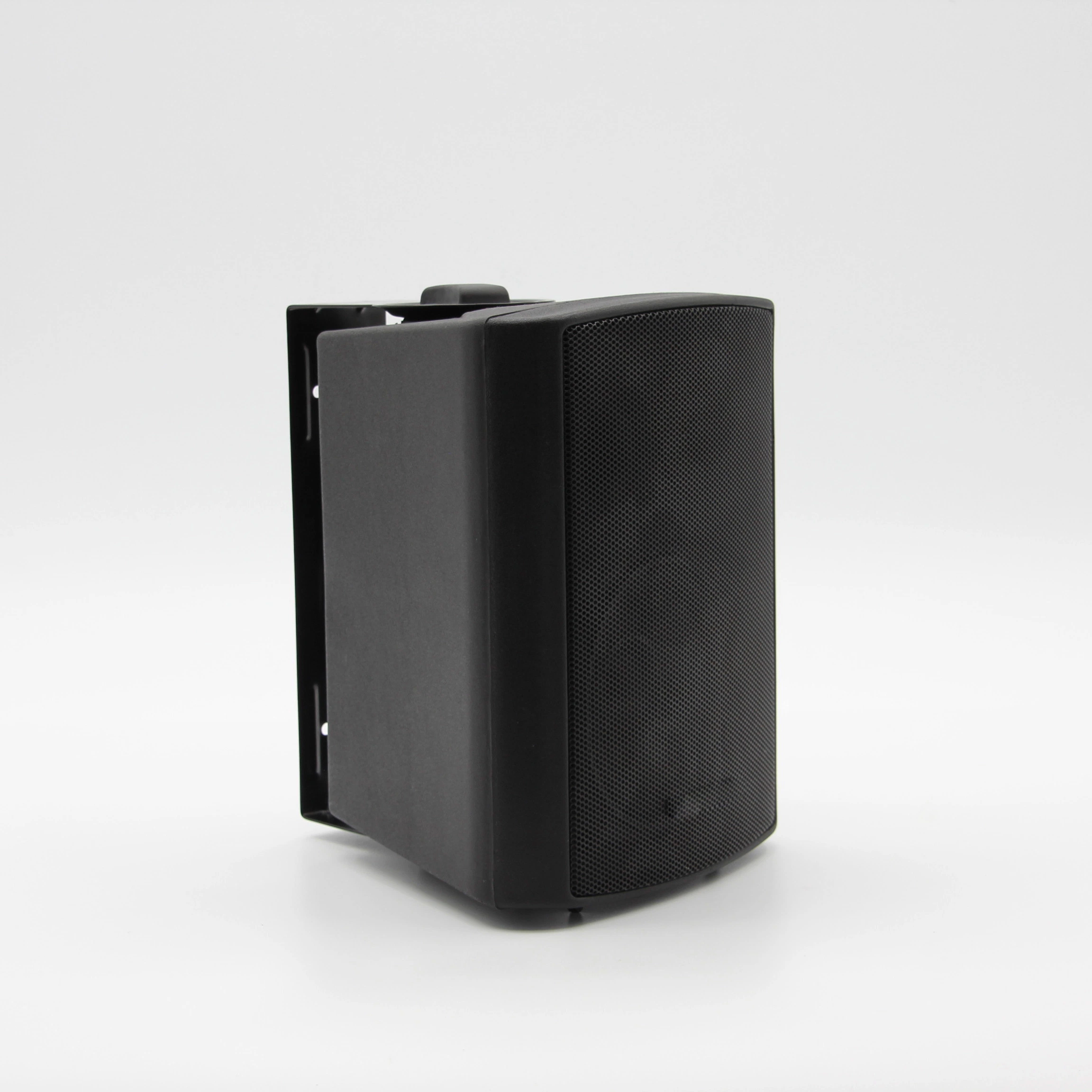 Professional High Fedility Black 100V Wall Speaker