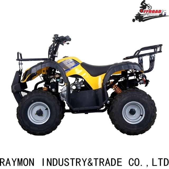 Street Legal CE 1000W 1500W ATV UTV Farm Buggy Hunting Vehicle