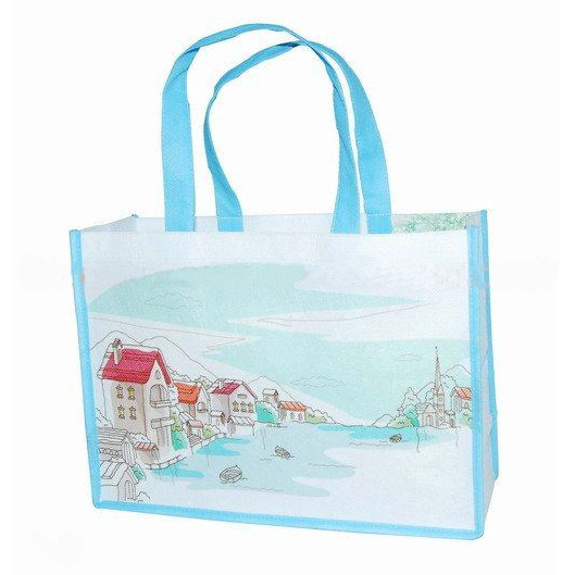 New Design Nice Laminated PP Nonwoven Shopping Bag