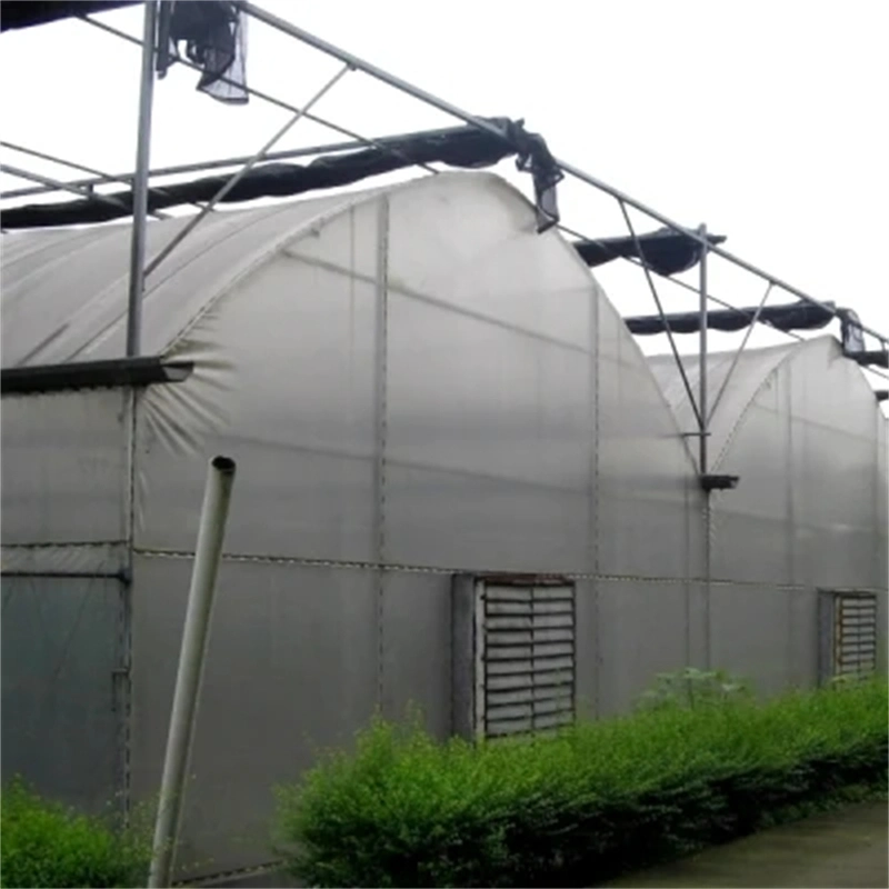 Smart Agricultural Multi Span Arch-Type Film PE Greenhouse for Vertical Farming Agriculture of Vegetables/Flowers/Tomato/Garden with Hydroponics System