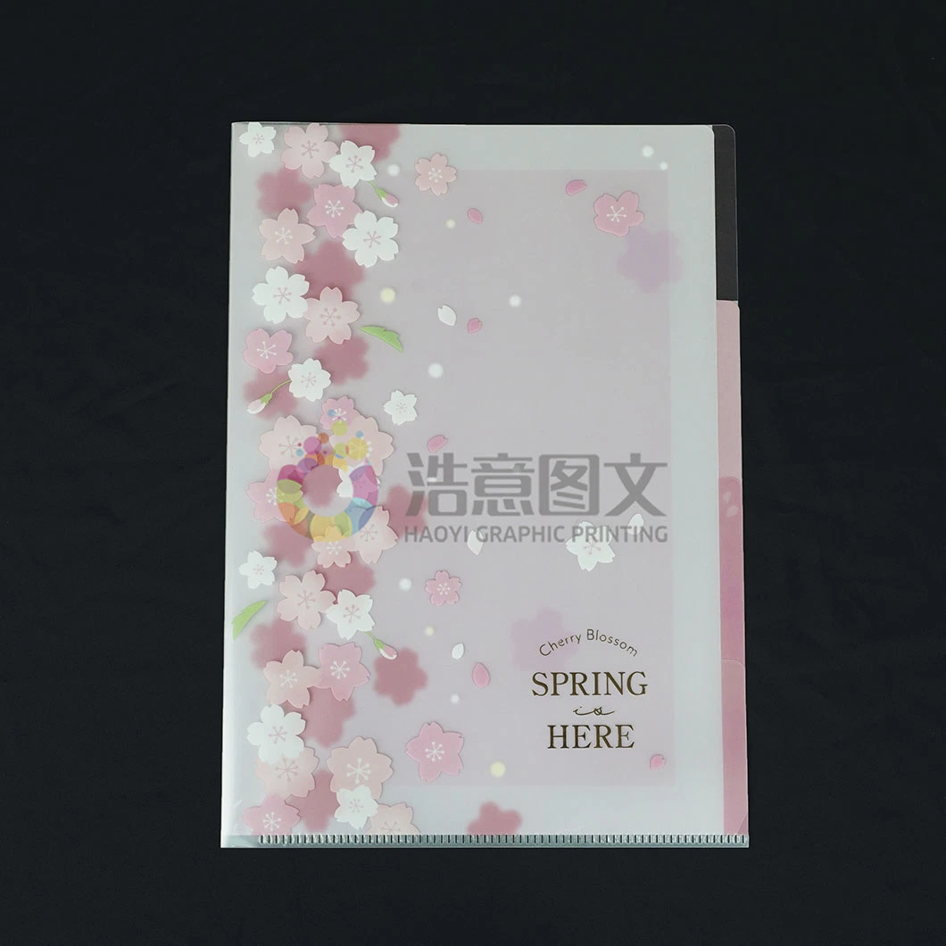 Chine Wholesale PP Data Collection Volume Packaging de dossiers transparents personnalisés