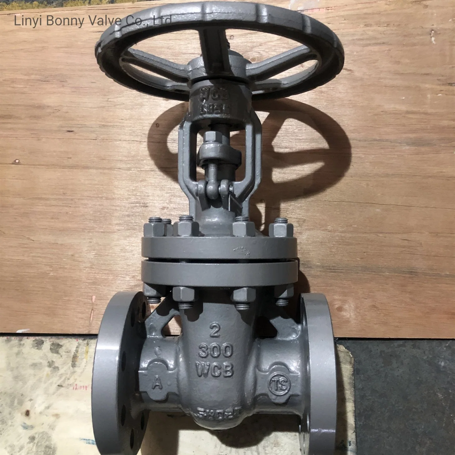 Wholesale/Supplier Cheap Gate Valve with Flange API 602 Class 300 3inch Wcb CS