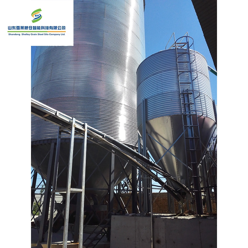 Shelley Feed Bin Cone China Feed Silo Supplier Galvanized Steel Sheet Silo for Corn Grain Poultry Feed Bins Automatic Feeding System