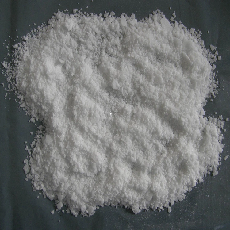 99% Food Preservative Sodium Benzoate with Best Price CAS No.: 532-32-1