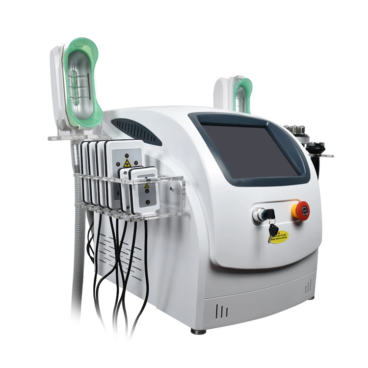 Discount High quality/High cost performance 360 Cryolipolysis Body Slimming Machine Beauty Salon Equipment