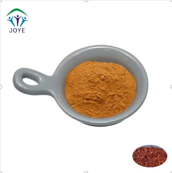 Supply Chinese Herbal Plant Powder Spine Date Seed Extract