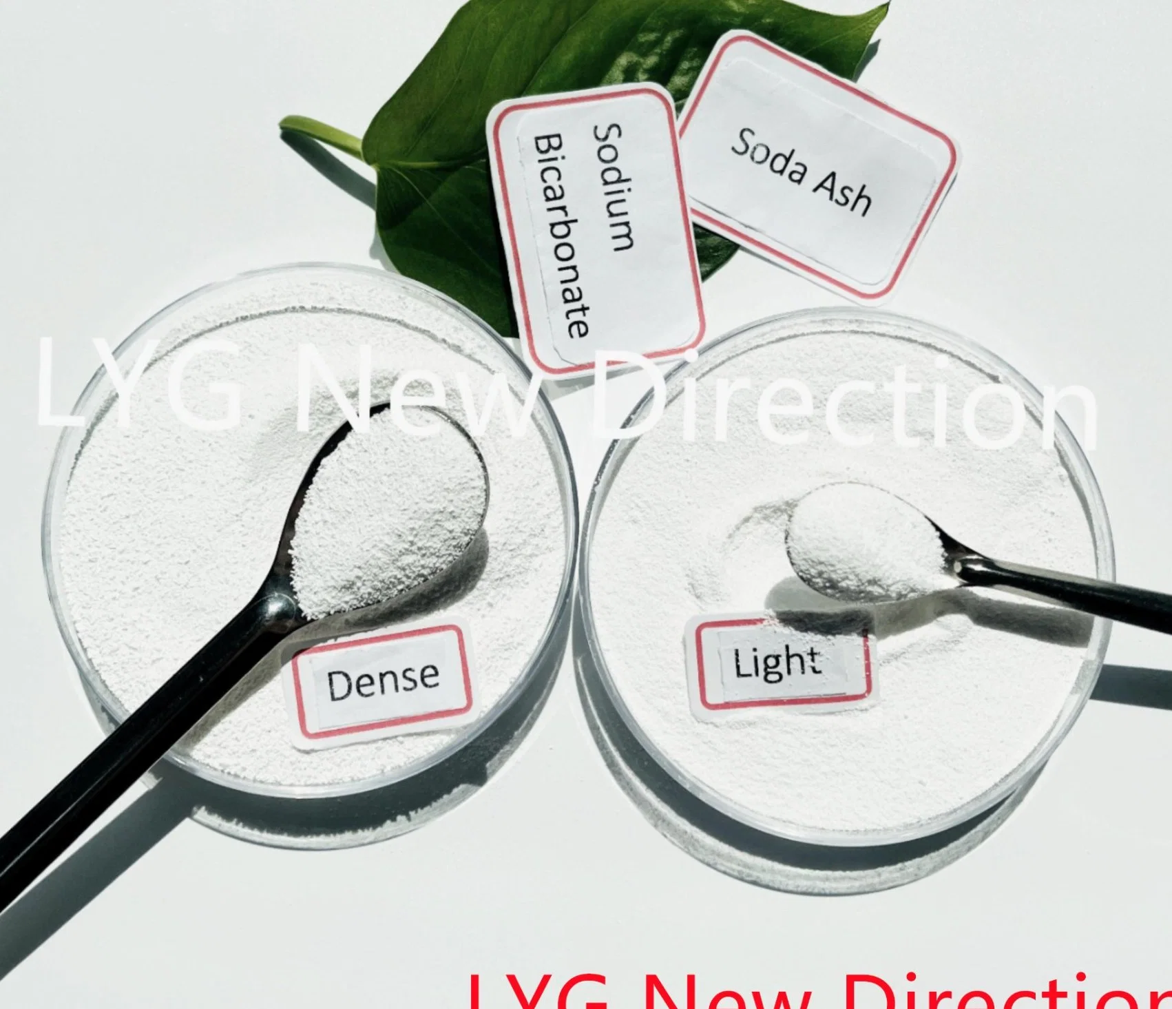 China Soda Ash Light 99.2% Soda Ash Detergent CAS 497-19-8 Sodium Carbonate Soda Ash Light