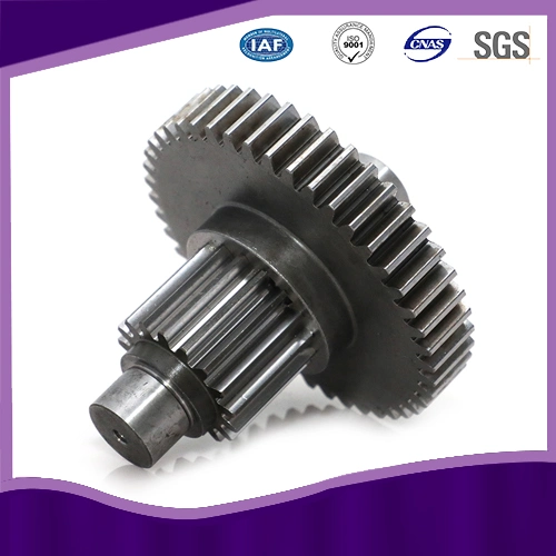 Precision Worm Gear for Tool Magazine