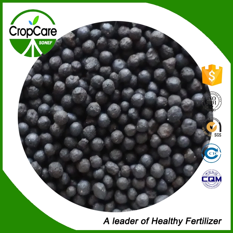 Powder Organic Fertilizer Humic Acid Fertilizer Fulvic Acid for Plant