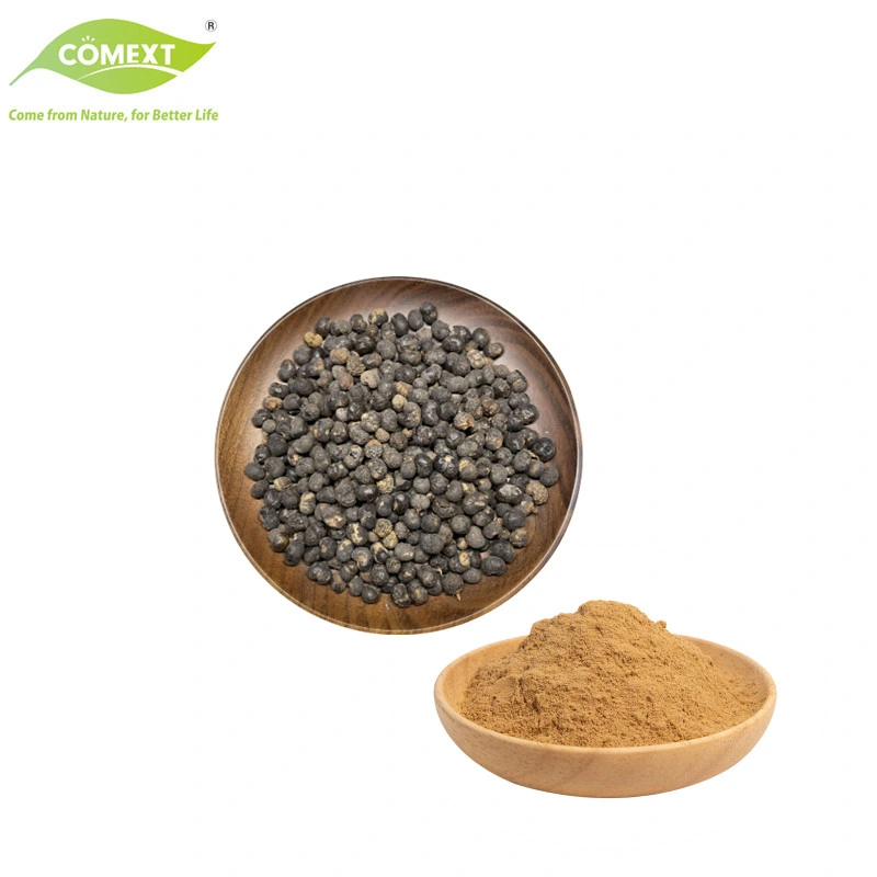 Natural Pure Serenoa Repens Plant Extract Health Food Herbal Extract Fatty Acid Saw Palmetto Extract Powder