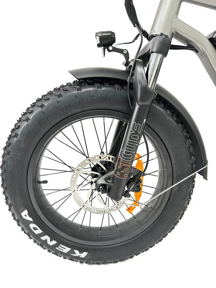 Queene/2023 New High Speed Ebike Fat Tire Electric Bicycle 750W 48V E-Bike 20 Inch E Mountain Bike Electric Dirt Bike