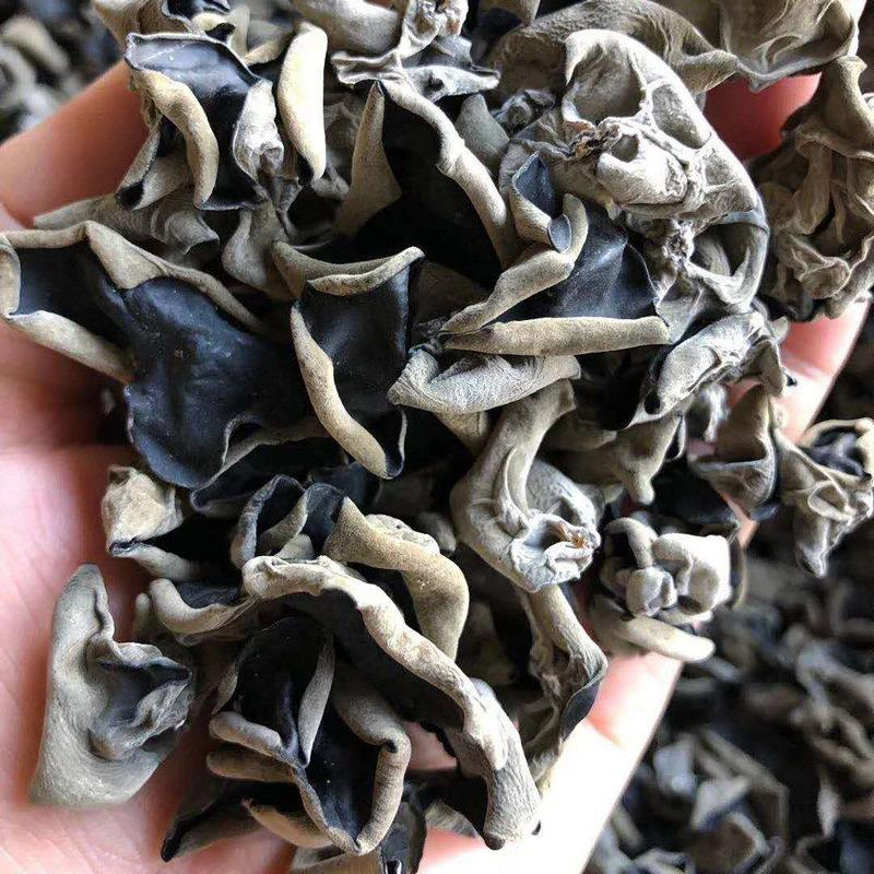 Fast Soak Whole Small Sun Dried Black Fungus Food