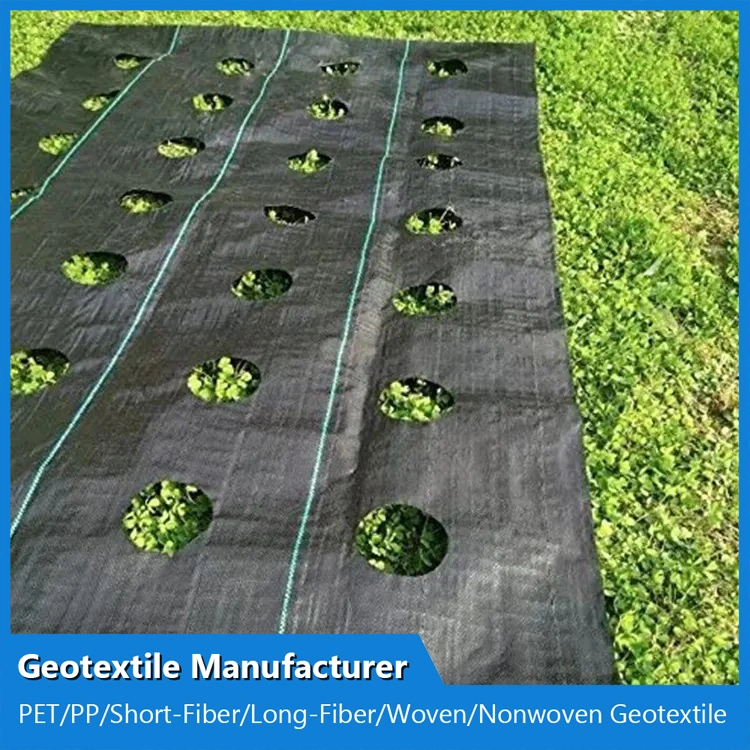 China Agricultural Ground Covering PP Woven Weed Control Mat Low Price Landscape Fabric Geotextile