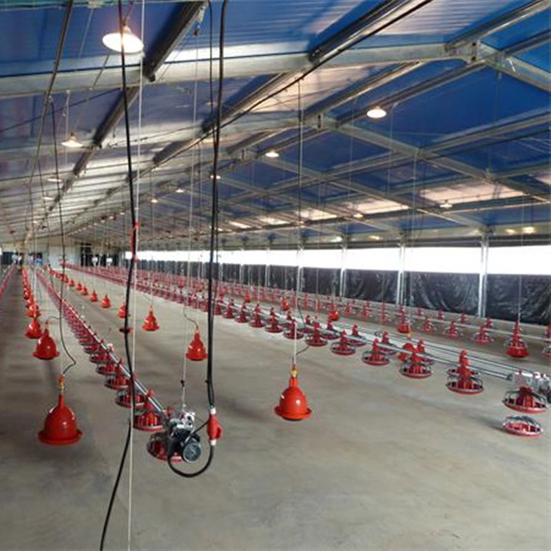 L'usine ferme avicole d'élevage de poulets de chair d'alimentation de l'équipement