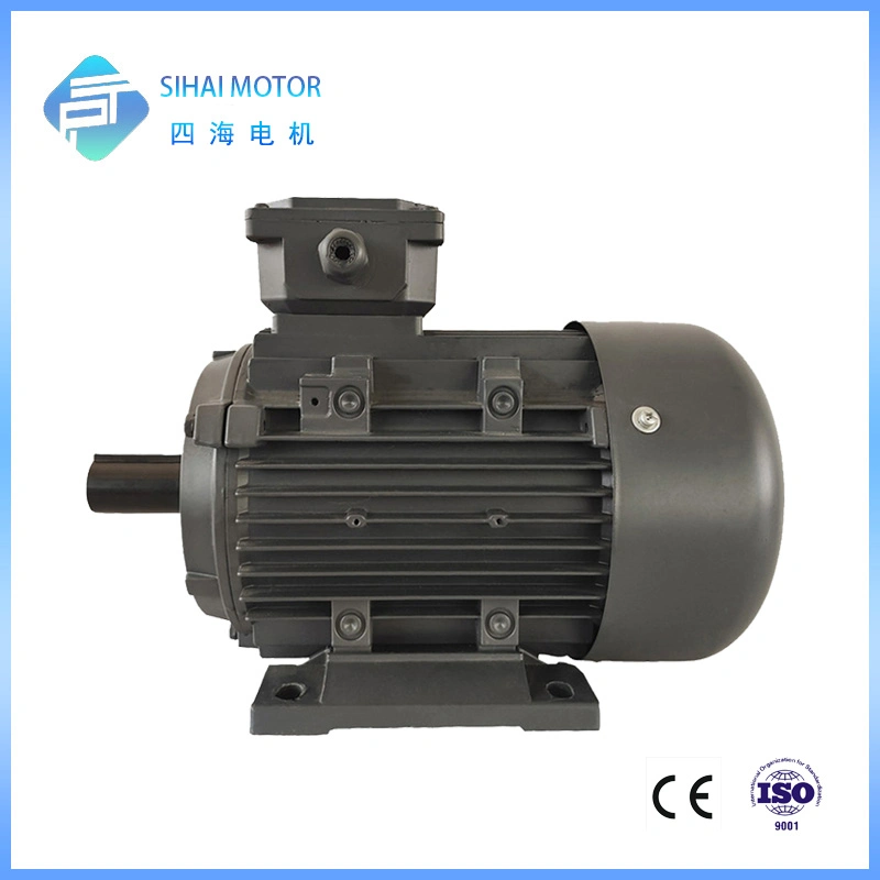 22kw 2 Pole High Efficiency AC Engine Three Phase Motor