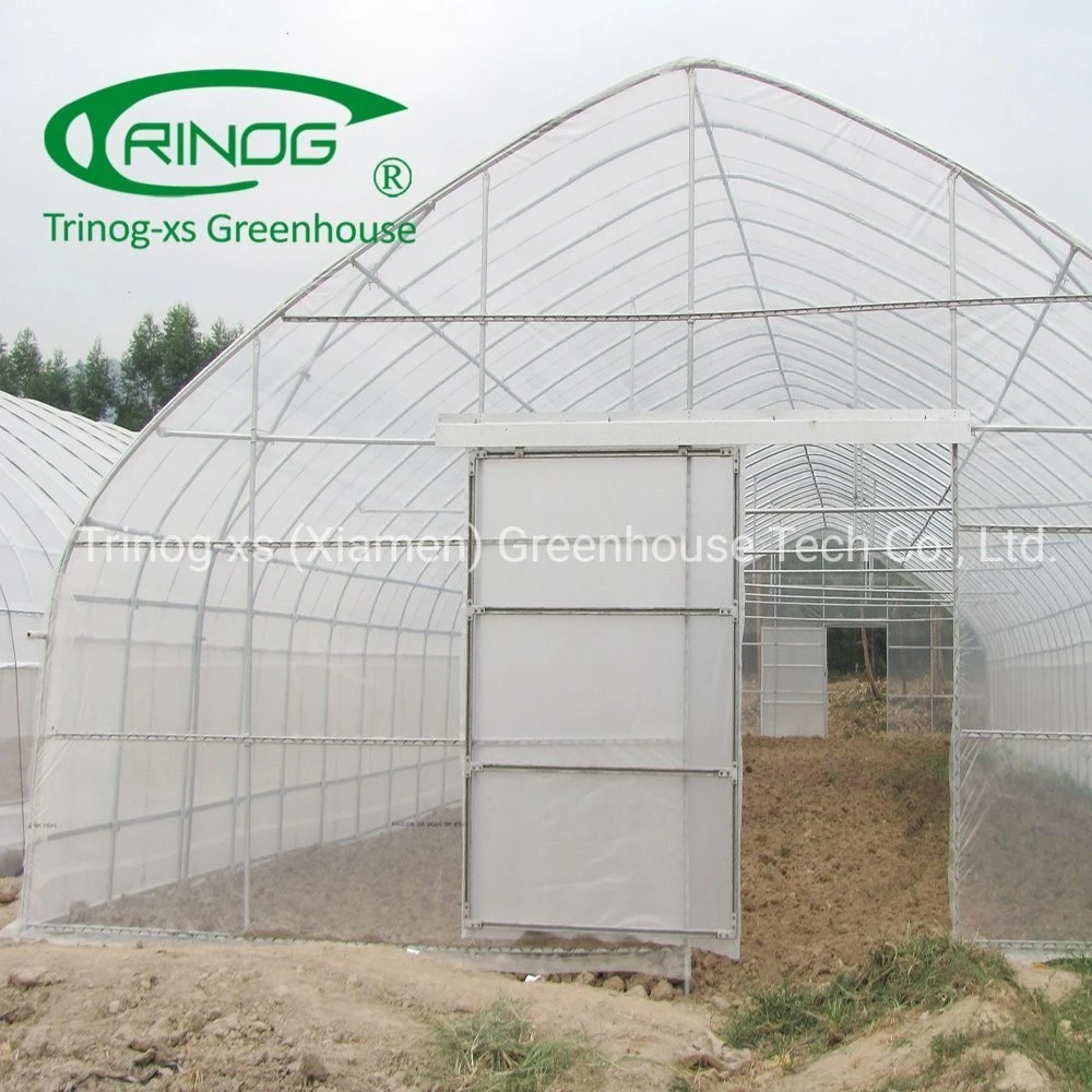 Trinog greenhouse 6*20m 200um film agriculture greenhouse cover film for planting