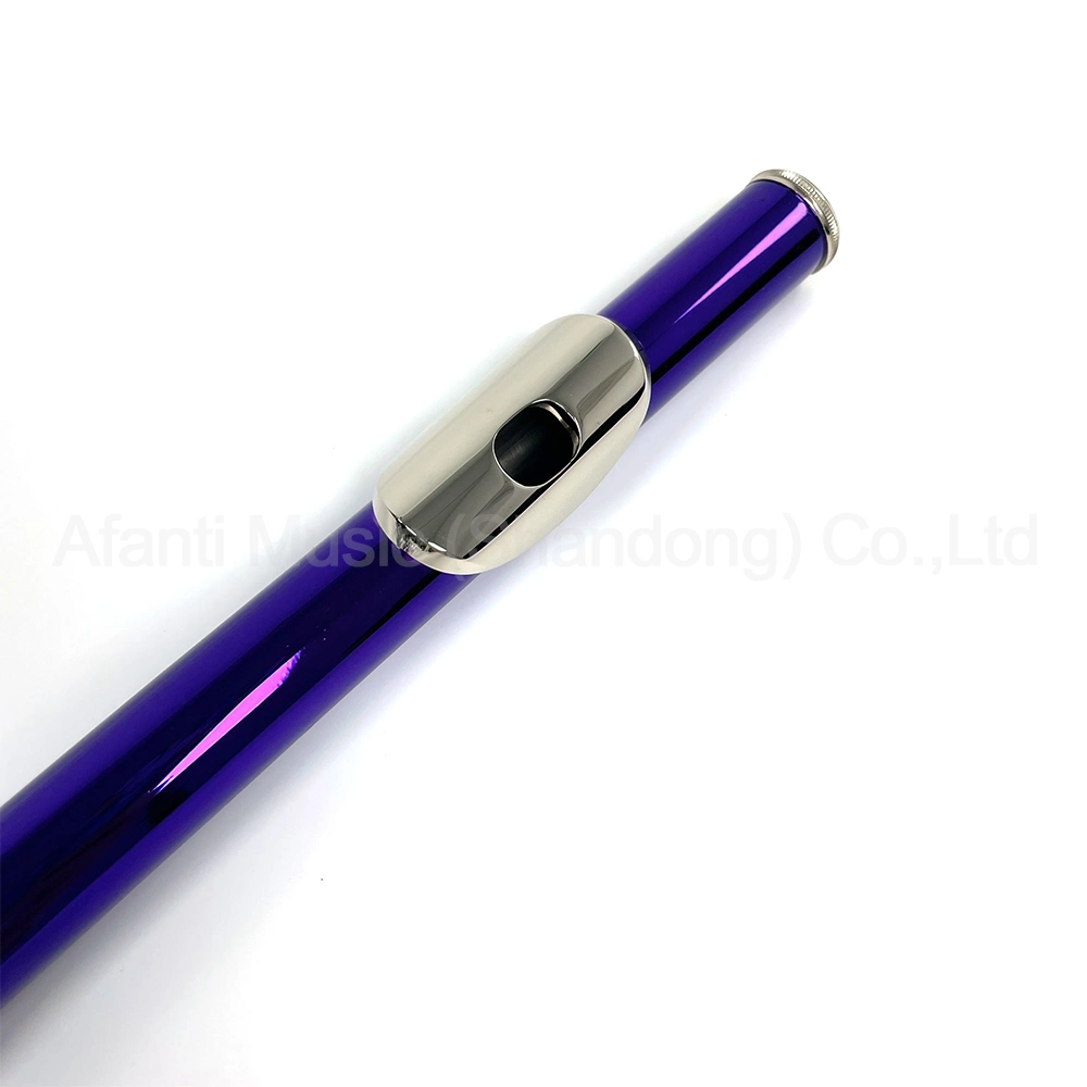 Afanti Selection Quality Student 16 Closed Holes Purple Flute