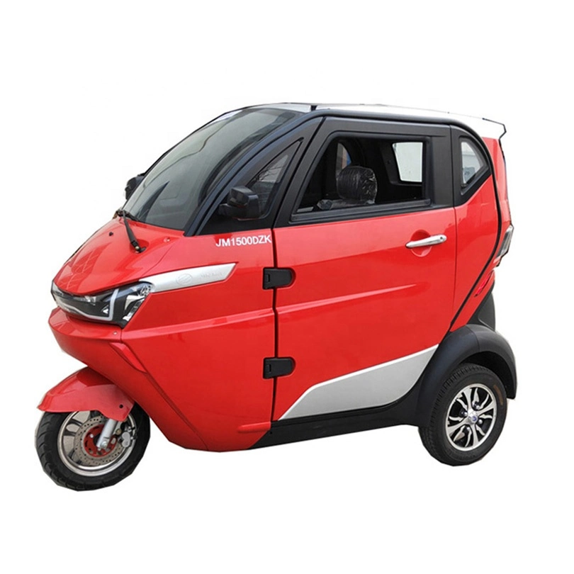 EEC L2e 3 Wheeler Electric Motor Trike for Denmark